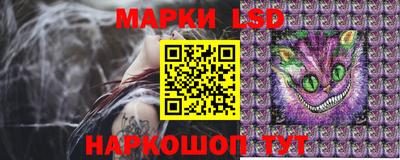 мдпв Краснодар