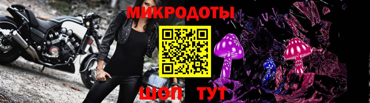 Псилоцибиновые грибы мицелий  Вход с VPN  купить наркотики сайты  Карачаевск  Галлюциногенные грибы GOLDEN TEACHER 